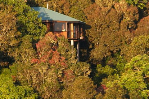 Mt Quincan Crater Retreat - Nambucca Heads Accommodation 4