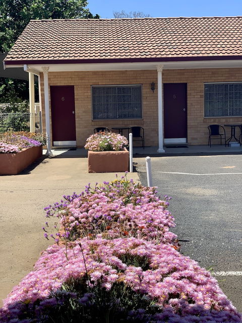 Gilgandra Motel - Nambucca Heads Accommodation 6