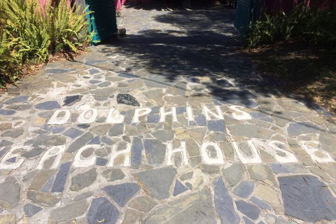 Dolphins Beach House - Nambucca Heads Accommodation 1