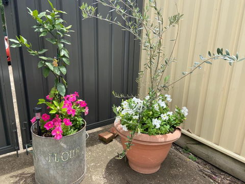 Bendigo Backpackers - Nambucca Heads Accommodation 2