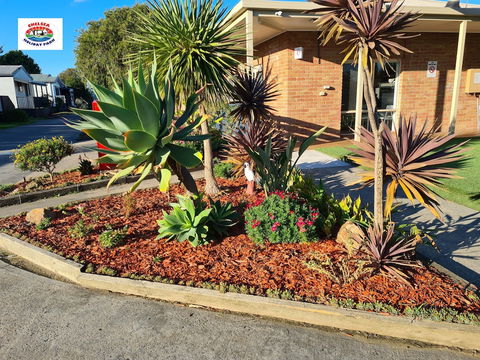 Chelsea Holiday Park - Nambucca Heads Accommodation 2