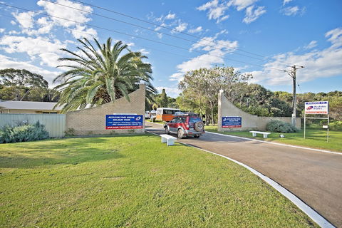 Acclaim Pine Grove Holiday Park - Nambucca Heads Accommodation 0