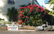 City Centre Motel - thumb 1