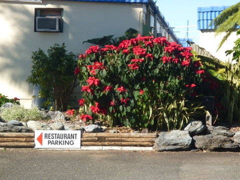 City Centre Motel - Nambucca Heads Accommodation 1