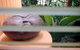 Sejala Beach Huts - thumb 6
