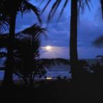 Sejala Beach Huts - Nambucca Heads Accommodation 0