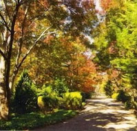Chalets Lumineux - Nambucca Heads Accommodation