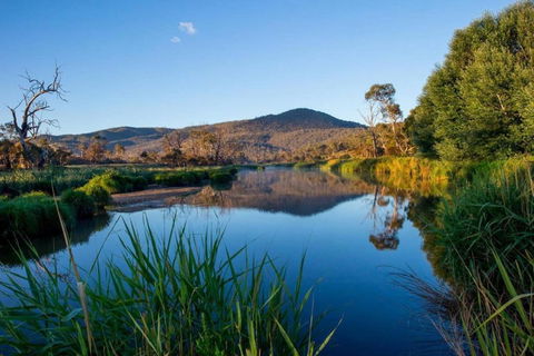 Snowy River Cabins - Nambucca Heads Accommodation 3