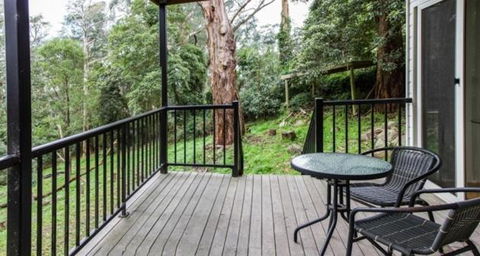Clarelee Belgrave Accommodation - Nambucca Heads Accommodation 7