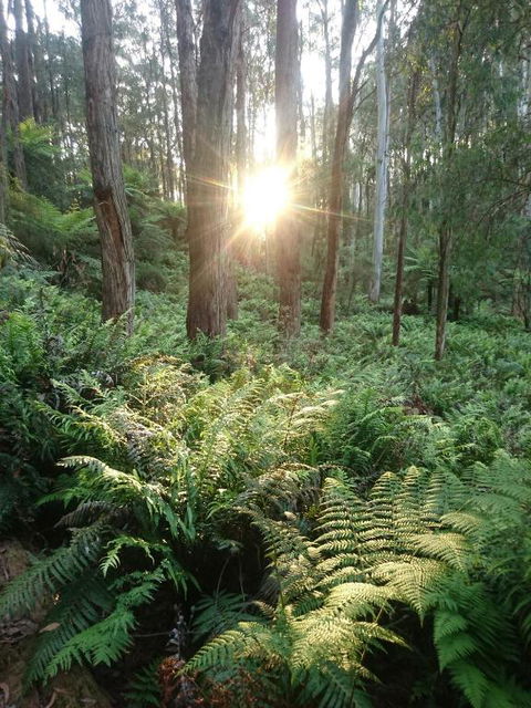 Carinya Park - Nambucca Heads Accommodation 3