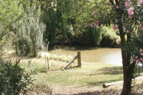 Kellys Motel Oakey - Nambucca Heads Accommodation 5
