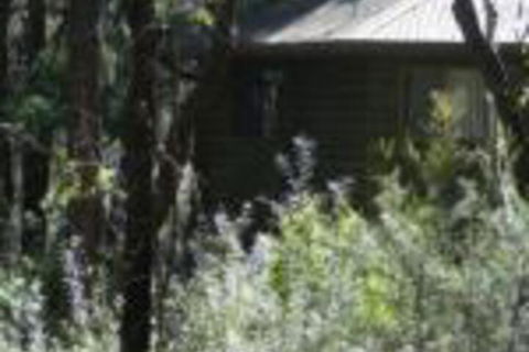 Twin Falls Bush Cottages - Nambucca Heads Accommodation 0