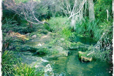 Twin Falls Bush Cottages - Nambucca Heads Accommodation 2