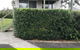 Diamond Beach Holiday Park - thumb 1