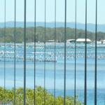 Montgomery Apartments - Nambucca Heads Accommodation 1