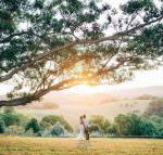 Cedia at Byron Bay Hinterland - Nambucca Heads Accommodation
