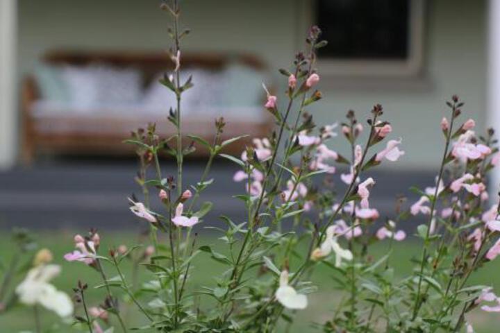 Lewinsbrook ACT Nambucca Heads Accommodation