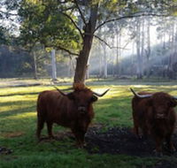 Dingley Dell - Nambucca Heads Accommodation