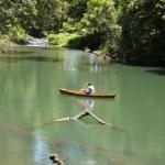 Figtree Getaway - Nambucca Heads Accommodation 0