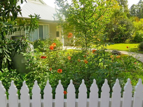Amelina Cottages - Nambucca Heads Accommodation 1