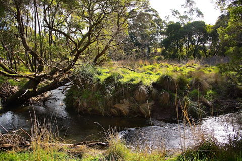 Green Gully House - Nambucca Heads Accommodation 0