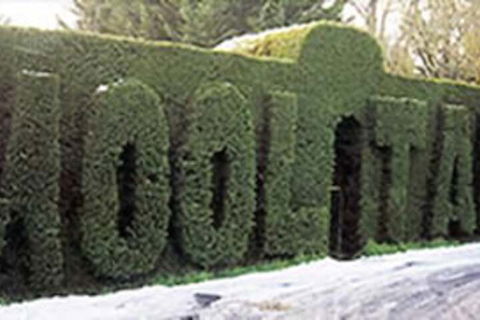 Mooltan House-hepburn Springs - Nambucca Heads Accommodation 0