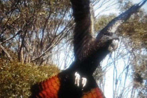 Cooinda Holiday Village - Nambucca Heads Accommodation 1