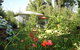 Dalrymples Guest Cottages - thumb 6