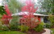 Dalrymples Guest Cottages - thumb 0