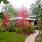 Dalrymples Guest Cottages - Nambucca Heads Accommodation 0