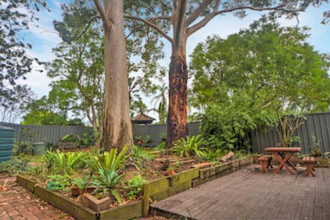 The Pines Bed & Breakfast - Nambucca Heads Accommodation 0