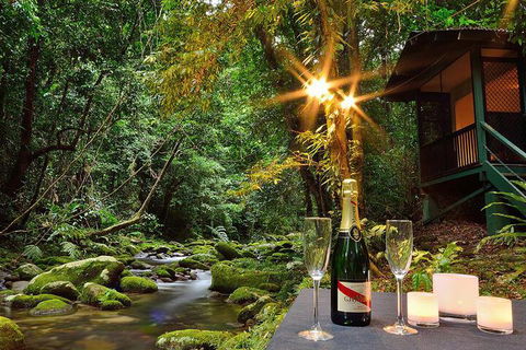 Misty Mountains Rainforest Retreat - Nambucca Heads Accommodation 3