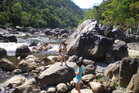 Daintree Village Hideaway - Nambucca Heads Accommodation 4