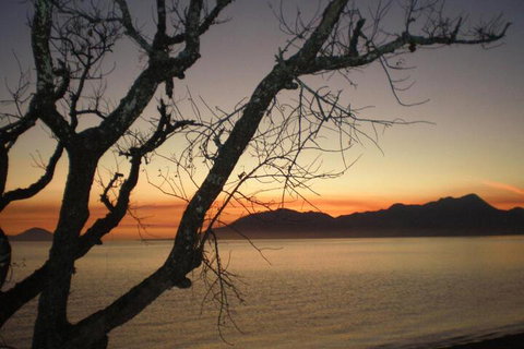 Daintree Village Hideaway - Nambucca Heads Accommodation 3