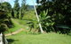 Daintree Village Hideaway - thumb 5
