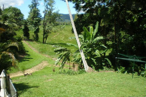 Daintree Village Hideaway - Nambucca Heads Accommodation 5