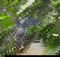 Montagues of Montville - Nambucca Heads Accommodation