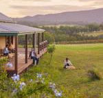 Hanging Tree Wines