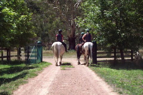 Halls On Falls Homestead - Nambucca Heads Accommodation 3