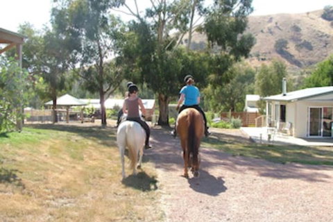 Halls On Falls Homestead - Nambucca Heads Accommodation 1