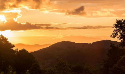 Cooroy Country Cottages - Nambucca Heads Accommodation 0