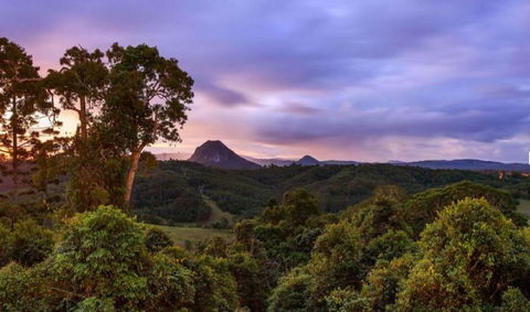 Cooroy Country Cottages - Nambucca Heads Accommodation 3