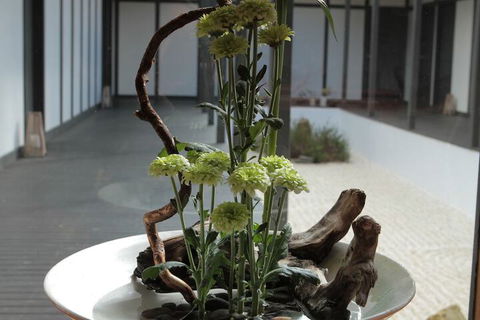 Shizuka Ryokan Japanese Country Spa & Wellness Retreat - Nambucca Heads Accommodation 3