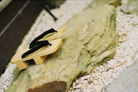 Shizuka Ryokan Japanese Country Spa & Wellness Retreat - Nambucca Heads Accommodation 4