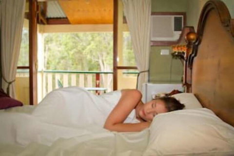 Bimbadeen Mountain Retreat - Nambucca Heads Accommodation 6