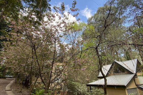 Lochiel Luxury Accommodation - Nambucca Heads Accommodation 4