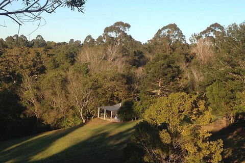 Jacaranda Cottages - Nambucca Heads Accommodation 3