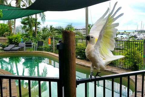 Backpackers By The Bay - Nambucca Heads Accommodation 3