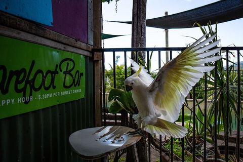 Backpackers By The Bay - Nambucca Heads Accommodation 2