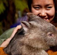 Fauna Australia Wildlife Retreat - Nambucca Heads Accommodation